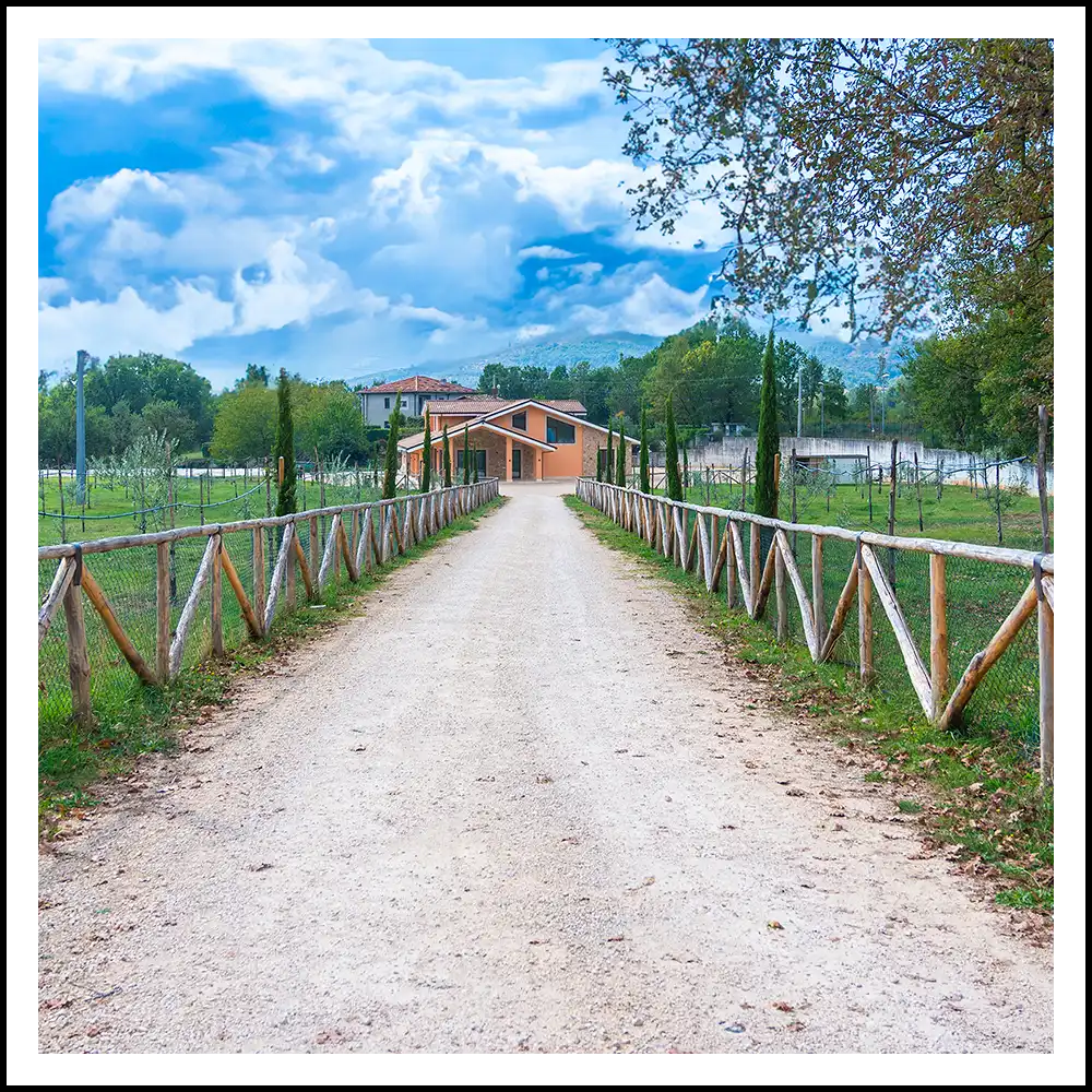 tenuta santa barbara veduta dal viale della tenuta santa barbara